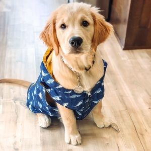 Lucy & Co Shark Attack Reversible Dog Raincoat XL